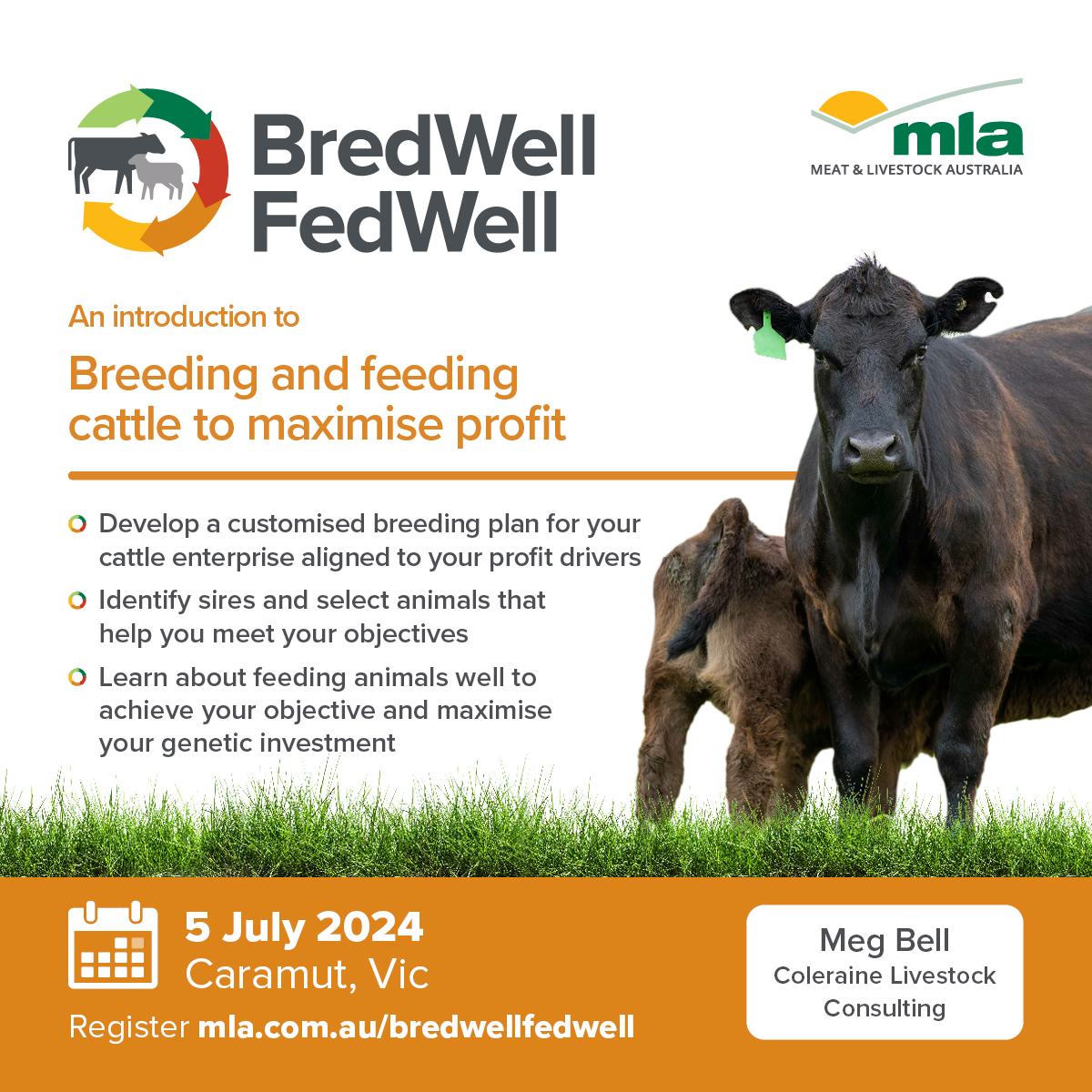 MLA BredWell FedWell - Caramut VIC