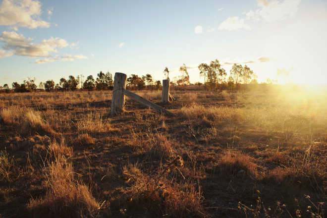 Sunset Paddock